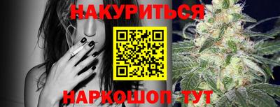 гидра Рязань